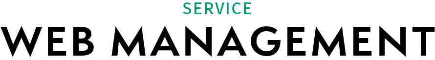 WEB MANAGEMENT